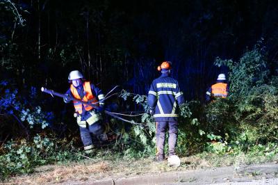 Fahrzeug kommt von Fahrbahn ab und landet im Gebuesch bei Goeppingen