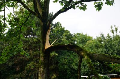 Heftige Unwetter im Kreis Goeppingen