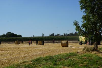 1000 Quadratmeter Feld ausgebrannt in Donzdorf