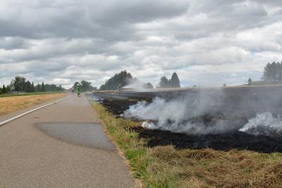 Feldbrand hinter dem Marbacher Jugendhaus