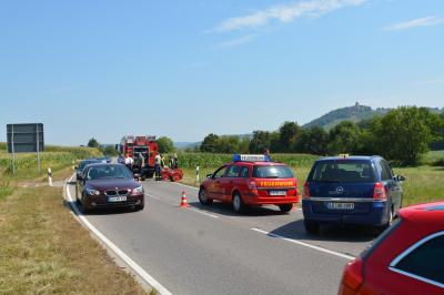 Gruenstreifen geraet neben Strasse in Brand 