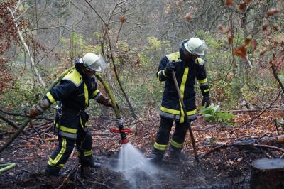 Pluederhausen: Waldbrand im November - 200 m2 Wald verbrannt