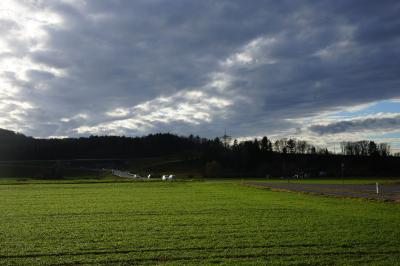 Suessen: Auto landet im Graben / Bei einem Unfall am Montag in Suessen wurde eine 69-Jaehrige Autofahrerin schwer verletzt. 