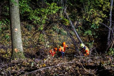 Salach: Pkw landet im Bachbett - Vier Personen im Fahrzeug