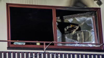 Boeblingen: Feuerwehr rettet Hund aus brennender Wohnung