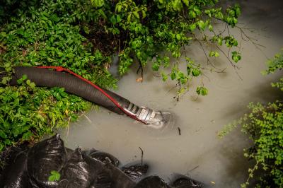 Auenwald-Hohenweiler: Weisse Fluessigkeit im Bach loest Grosseinsatz aus