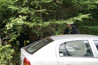 Engelsbrand: Verkehrsunfall PKW gegen Baum - 1 Person Verletzt