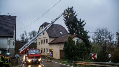 Grafenau: Mehrere Einsaetzte nach Sturm im Landkreis 