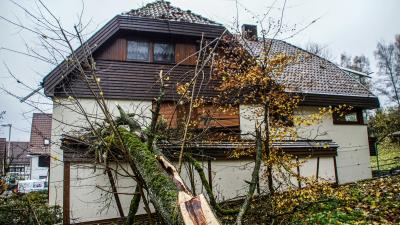 Grafenau: Mehrere Einsaetzte nach Sturm im Landkreis 