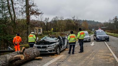 Beoblingen/Sindelfingen: Baum stuerzt auf PKW  - beide Insassen sterben