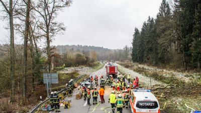 Beoblingen/Sindelfingen: Baum stuerzt auf PKW  - beide Insassen sterben