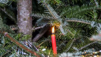 Leonberg: Weihnachtsfeuer statt Weihnachtsfeier - der Weihnachstbaum brennt