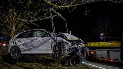 Schoenaich: Unter Alkoholeinfluss von der Strasse abgekommen