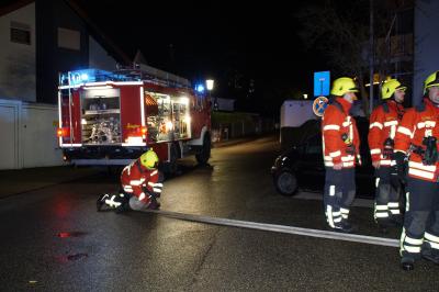 Niefern: Wohnungsbrand durch Fettverpuffung in Kueche - mehrere Verletzte