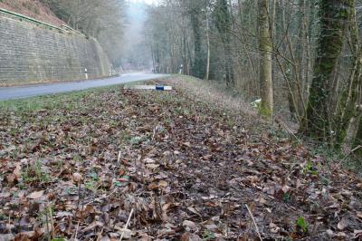Pforzheim: Verkehrsunfall Pkw gegen Baum fordert eine Verletzte Person