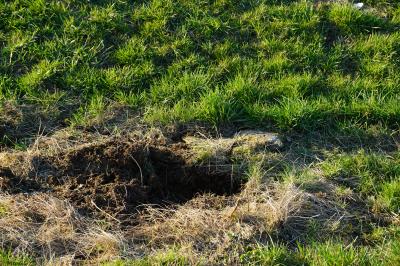 Wangen: PKW kommt von Fahrbahn ab und faehrt Telefonmast um.