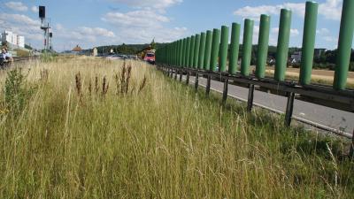 Renningen: PKW landet im Gleisbett - langwierige Bergung