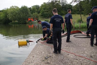 Stuttgart Hofen: Fischsterben am Max Eyth See durch Hitze