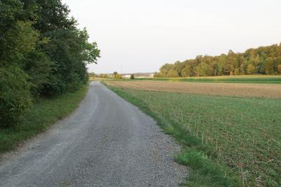 Wildberg: auf dem Fluggelaende kam es zu einem Kleinflugzeugabsturz - eine Person Verletzt