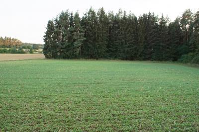 Wildberg: auf dem Fluggelaende kam es zu einem Kleinflugzeugabsturz - eine Person Verletzt