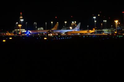 Leinfelden Echterdingen: Notlandung auf Stuttgarter Flughafen