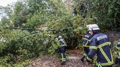 Sindelfingen-Maichingen: Baum faellt nach Sturm auf die Strasse - knapp an einem Haus vorbei