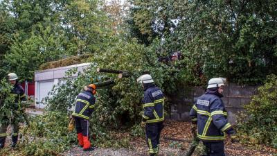 Sindelfingen-Maichingen: Baum faellt nach Sturm auf die Strasse - knapp an einem Haus vorbei