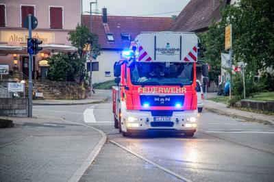 Notzingen: Aeste vom Baum stuerzten auf Strasse und Auto â€“ Feuerwehr entfernt weitere Aeste mit Drehleiter
