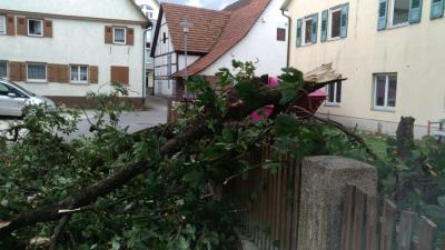 Notzingen: Aeste vom Baum stuerzten auf Strasse und Auto â€“ Feuerwehr entfernt weitere Aeste mit Drehleiter