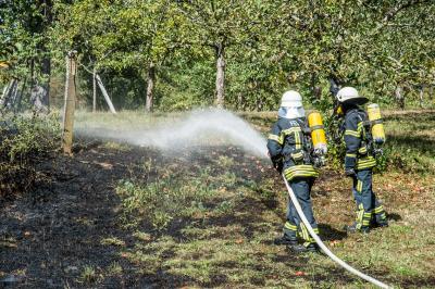 Waiblingen-Hohenacker: Flaechenbrand fordert die Feuerwehr