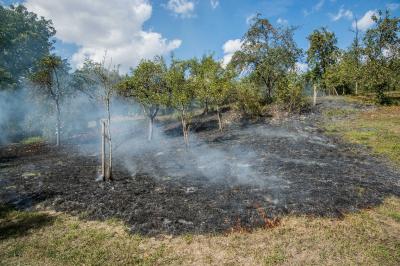 Waiblingen-Hohenacker: Flaechenbrand fordert die Feuerwehr