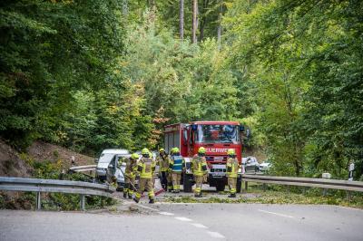 Kernen-Stetten: Baum umgestuerzt - Landstrasse wegen drohender Gefahr gesperrt