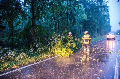 Baltmannsweiler-Hohengehren: Baum versperrt halbseitig die Landstrasse