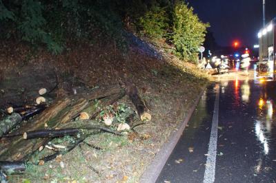 Birkenfeld: Unwetter ueber dem Enzkreis - B294 Vollsperrung wegen Baum ueber Fahrbahn
