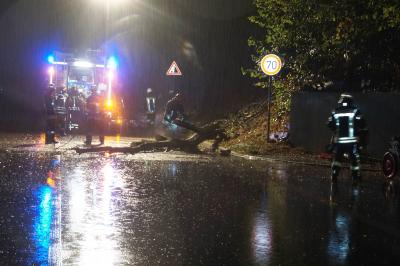 Birkenfeld: Unwetter ueber dem Enzkreis - B294 Vollsperrung wegen Baum ueber Fahrbahn
