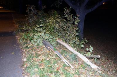 Pforzheim: Verkehrsunfall Pkw gegen Baum - eine Person Verletzt