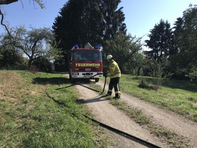 Nuertingen - Hardt : Flaechenbrand ruft Feuerwehr auf den Plan