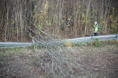 Plochingen: Baeume drohten umzustuerzen - B10 teilweise gesperrt