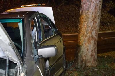 Pforzheim: Pkw schleudert aus Kurve und landet im Baum