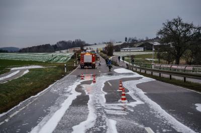 Baltmannsweiler: Fahrzeug brannte auf der Landstrasse