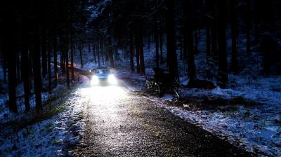 Murrhardt: Schwerer Unfall mit Pferdekutsche im verschneiten Wald - Kutscher wird schwer verletzt - Pferd erliegt seinen Verletzungen!