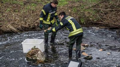Grafenau: Unbekannte Taeter entsorgen Brot in der Schwippe bei Grafenau