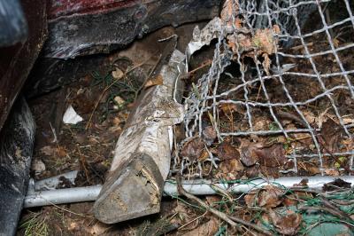 Keltern: Pkw gegen Baum auf der L339 - eine Person Verletzt