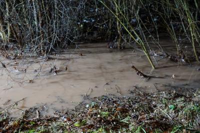 Uhingen-Baiereck: Bach tritt ueber die Ufer - Feuerwehr muss Rechen reinigen