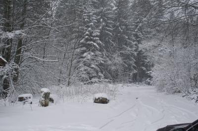 Bad Liebenzell: Dachstuhlvollbrand in einer Werkstatt - Unwetter
