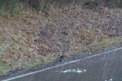 Koenigsbach-Stein: schwerer Verkehrsunfall auf der L611 - zwei schwer Verletzte Person