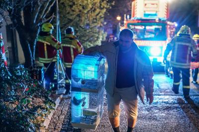 Burgstetten: Missgeschick loest Gebaeudevollbrand einer Asylunterkunft aus - Voegel gerettet