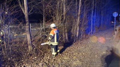 Herrenberg:Pkw Fahrer touchiert mehrere Pkw und landet neben der Strasse 