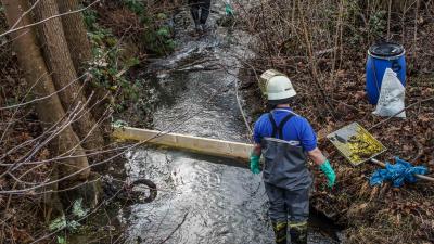 Sindelfingen: Illegal Lacke in den Goldbach abgelassen - Umweltamt ermittelt