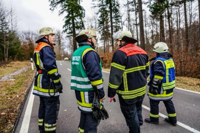Winterbach-Manolzweiler: Umgestuerzte Baeume fordern die Feuerwehr